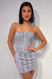 Sparkly Silver Lace Tight Short Corset Homecoming Dress To Impress